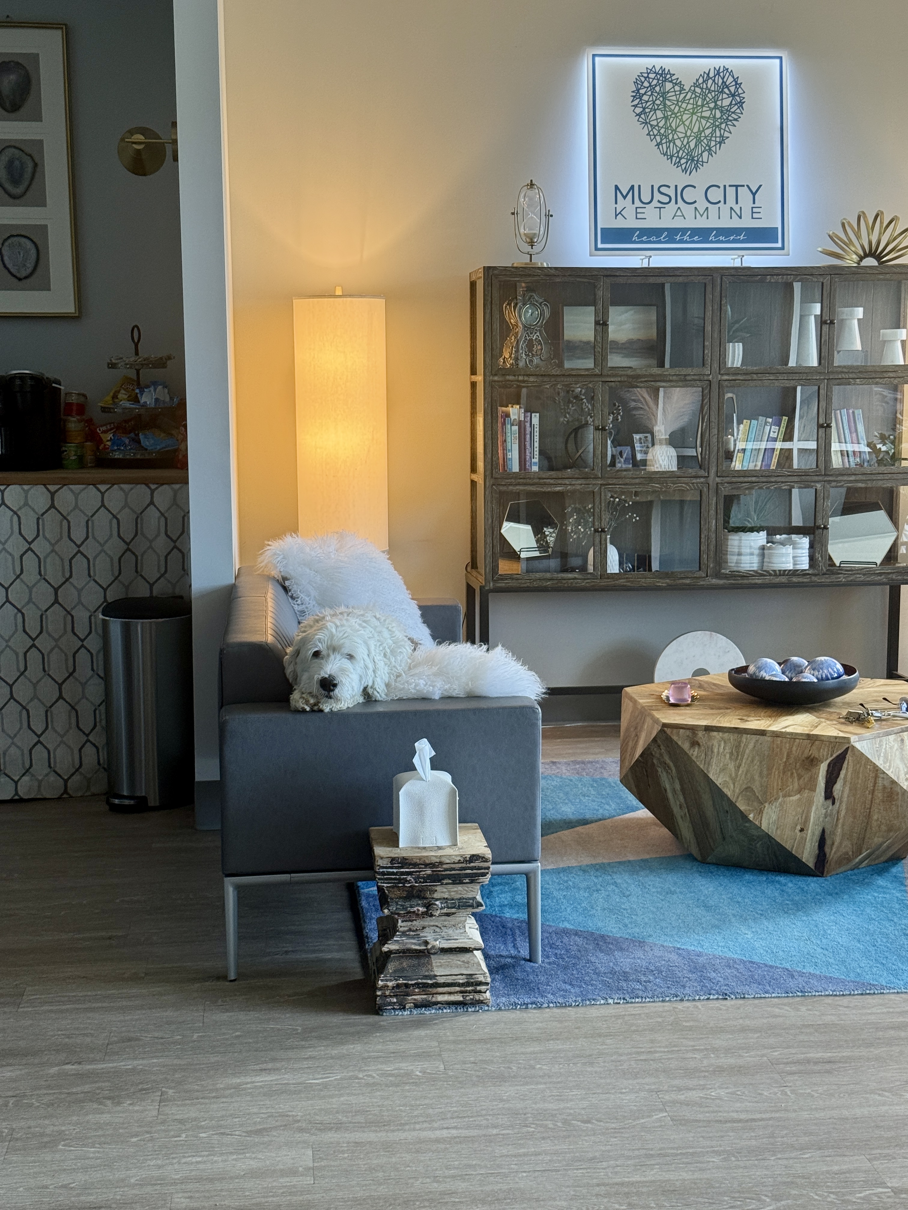 A Music City Ketamine clinic lounge with a sheepdog resting in a chair